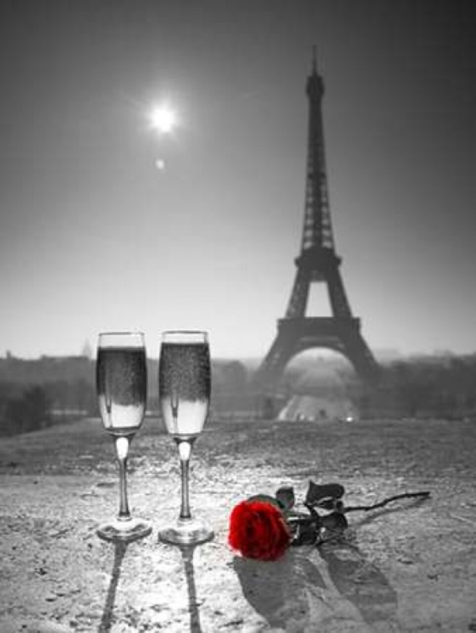 Champagne glasses with red rose next to the Eiffel tower Poster Print by Assaf Frank - Item # VARPDXAF20120314381C04